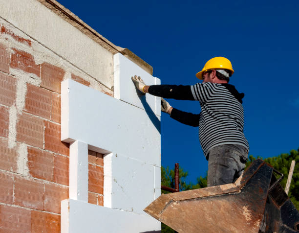 Best Blown-in Insulation in Fish Hawk, FL