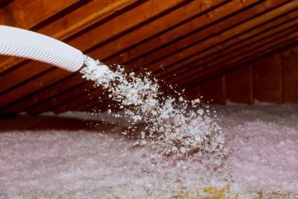 Best Insulation for Specific Applications in Fish Hawk, FL