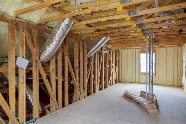 Best Cellulose Insulation in Fish Hawk, FL