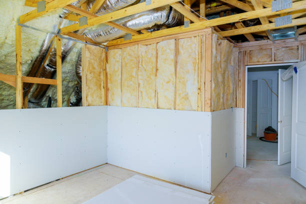 Best Commercial Insulation in Fish Hawk, FL