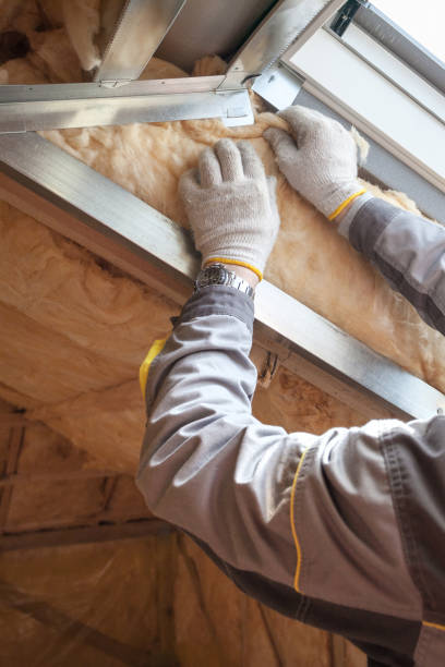 Best Energy Efficiency Insulation in Fish Hawk, FL
