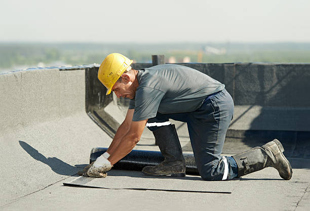 Best Eco-Friendly Insulation in Fish Hawk, FL