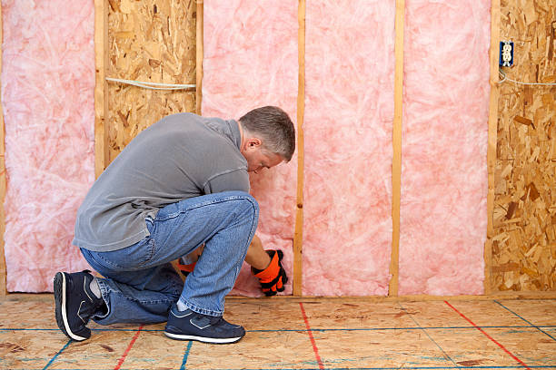 Best Spray Foam Insulation in Fish Hawk, FL
